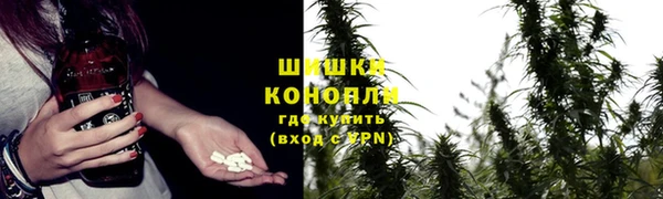 ПСИЛОЦИБИНОВЫЕ ГРИБЫ Бородино