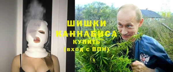 ПСИЛОЦИБИНОВЫЕ ГРИБЫ Бородино