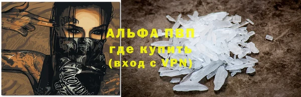 ПСИЛОЦИБИНОВЫЕ ГРИБЫ Бородино