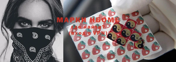 ПСИЛОЦИБИНОВЫЕ ГРИБЫ Бородино