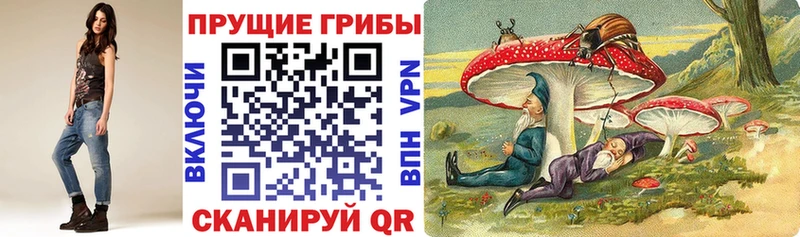 хочу наркоту Кочубеевское Галлюциногенные грибы Psilocybe