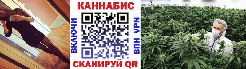 Конопля OG Kush Кочубеевское
